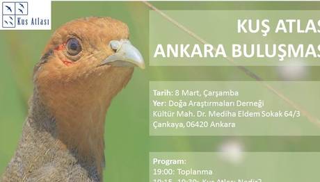 Kuş Atlası Ankara Buluşması