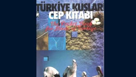 Türkiyede yaşayan kaç kuş adı sayabilirsiniz?