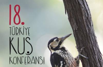 18.Türkiye Kuş Konferansı