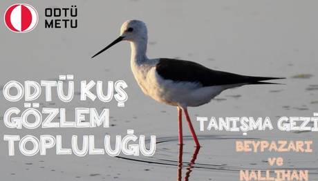 ODTÜ Kuş Gözlem Topluluğu - Tanışma Gezisi