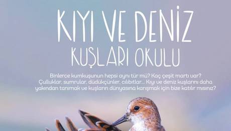 Kıyı ve Deniz Kuşları Okulu 8-9 Nisan'da!