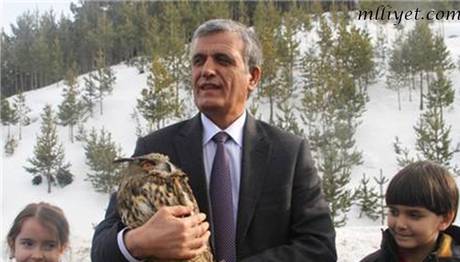 Yaralı Puhu Tedavi Edilip Doğaya Bırakıldı