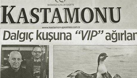 Dalgıç İçin VIP Ağırlama