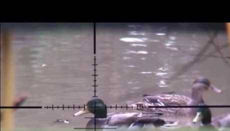 2017-2018 MAK TOPLANTISI DİLEKÇE DUYURUSU