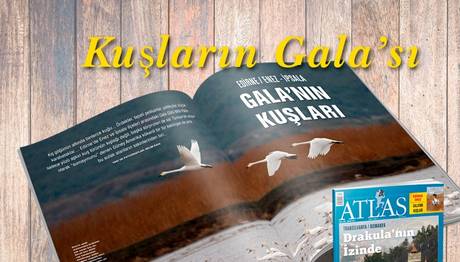 Kuşların Galası