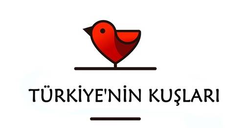 Marmara Üni Öğrencileri Kuşları Tanıyor Tanıtıyor
