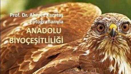 Örnek haber adı gelecek.