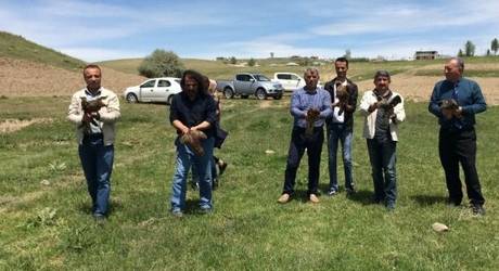 Tedavileri tamamlanan kuşlar doğaya salındı