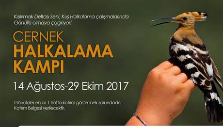 Cernek Halkalama Kampı gönüllülerini bekliyor!