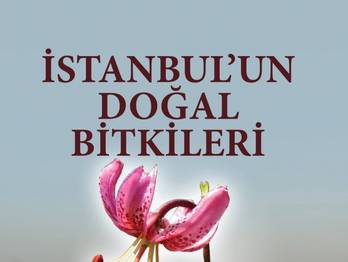 Örnek haber adı gelecek.