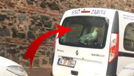 Örnek haber adı gelecek.