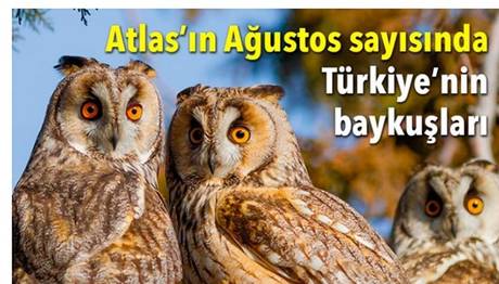 Örnek haber adı gelecek.