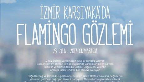 Örnek haber adı gelecek.