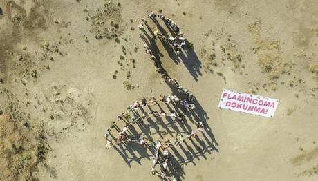 İzmirde Flamingolu Eylem