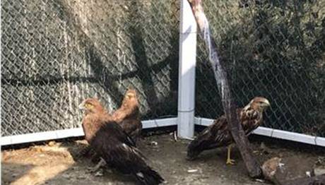 Örnek haber adı gelecek.