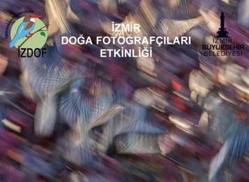 Örnek haber adı gelecek.