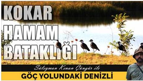 Kokar Hamam Bataklığı 148 Kuş Türüne Ev Sahipliği Yapıyor