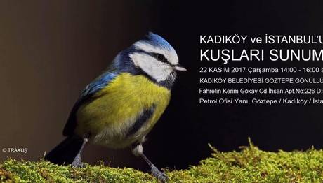 Kadıköy ve İstanbul'un Kuşları