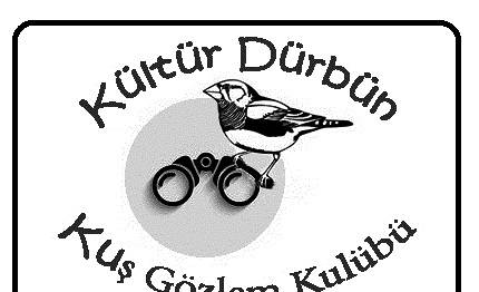 `Kültür Dürbün` Kuruldu