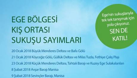 EGE BÖLGESİ KIŞ ORTASI SUKUŞU SAYIMLARI 