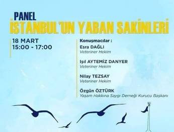 Panel: `İstanbul'un Yaban Sakinleri`