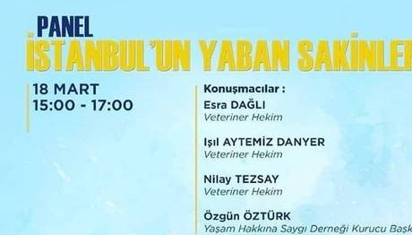 PANEL: İstanbul'un Yaban Sakinleri