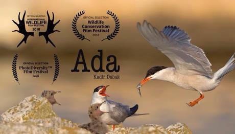 Kadir Dabak'ın `ADA`sı Uluslararası Film Festivallerinde