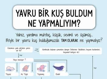 Örnek haber adı gelecek.