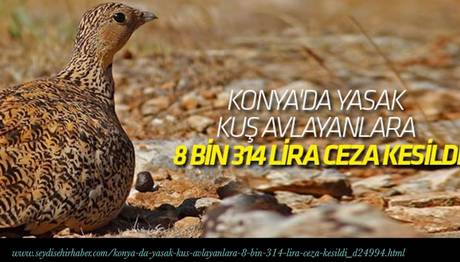 Örnek haber adı gelecek.