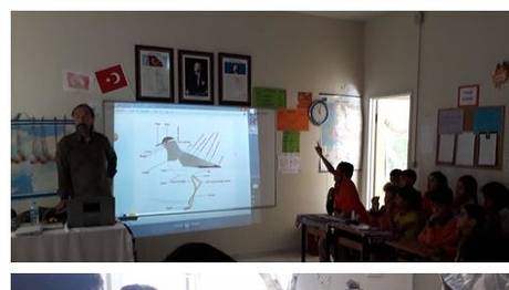 Örnek haber adı gelecek.