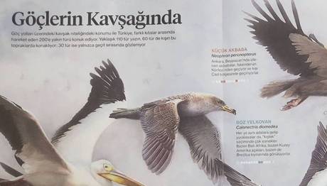 Örnek haber adı gelecek.