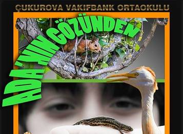 Örnek haber adı gelecek.