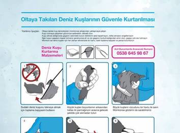 Oltaya Takılan Deniz Kuşlarının Güvenle Kurtarılması