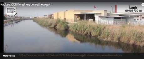 Kapkara Çiğli Deresi Kuş Cennetine Akıyor