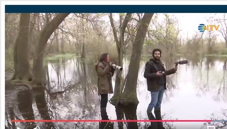 Bülbül Sesinin Notaları Belirlenecek (Kızılırmak Deltasında Çalışmalar Başladı)