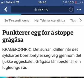 Norveç'te Katliam 