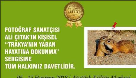 `Trakya'nın Yaban Hayatına Dokunma` Fotoğraf Sergisi