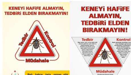  Göçmen Kuşlardaki Kene Yeni Kanamalı Ateş Virüsünü Taşıyabilir