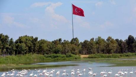 Örnek haber adı gelecek.