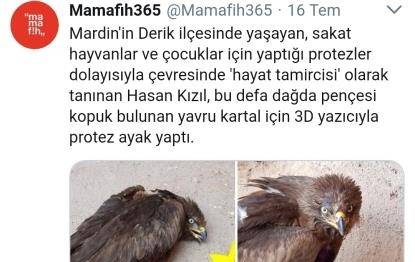 Hayat Tamircisi Yavru Kartal'a protez ayak yaptı