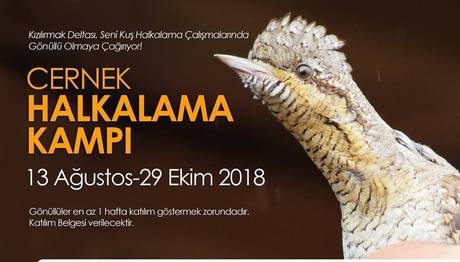 Cernek Halkalama Kampı Yeni Dönem