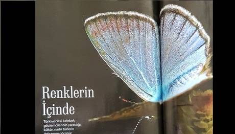 TRAKEL NATIONAL GEOGRAPHIC de