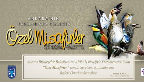 Özel Misafirler