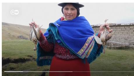 And Dağlarının İntihar Eden Kuşları?