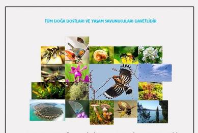 Heybeliadada Yürüyüş ve Gözlem