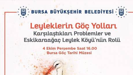 Leyleklerin Göç Yolları 