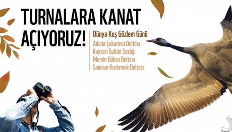 Turnalara Kanat Açıyoruz