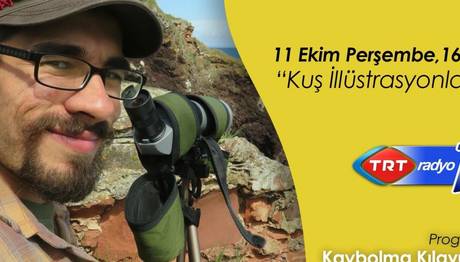 Kuş İllüstrasyonları