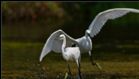 Örnek haber adı gelecek.