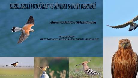 Kırklareli Kuş Fotoğrafları Sunumu